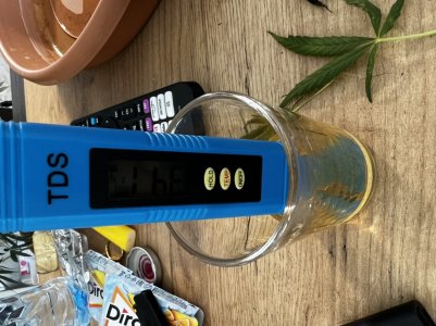 06A7D906-BA58-4075-811B-AF2C03FA152E.jpeg 06A7D906-BA58-4075-811B-AF2C03FA152E.jpeg