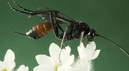 1660227069261.png 1660227069261.png