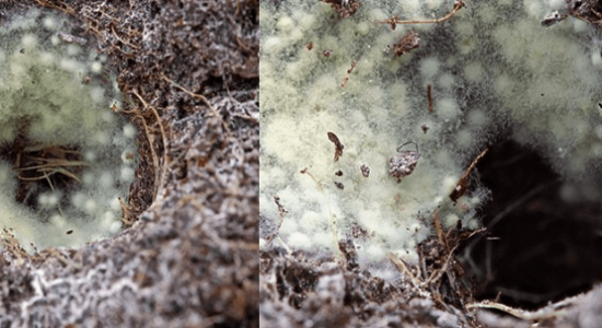 1660227137028.png 1660227137028.png