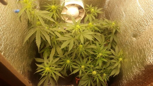 20220817_162938.jpg 20220817_162938.jpg