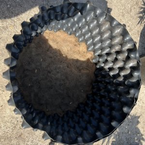 F03DE0DC-14F0-4511-A6F4-6F9591CFDFFC.jpeg F03DE0DC-14F0-4511-A6F4-6F9591CFDFFC.jpeg