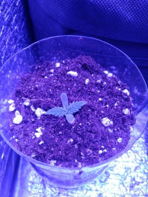 photo_2022-08-27_09-02-09 (3).jpg