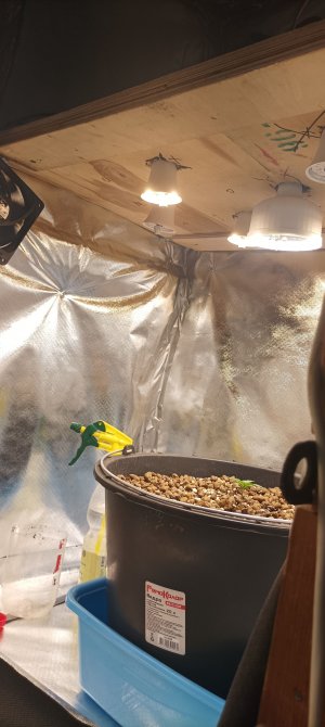 IMG_20220828_135422.jpg IMG_20220828_135422.jpg