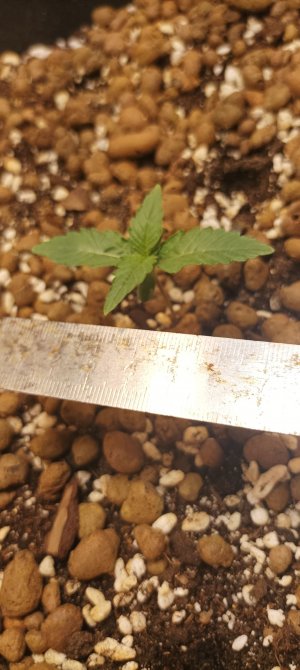 IMG_20220828_135129.jpg IMG_20220828_135129.jpg