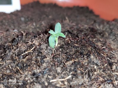 P20829-181952.jpg P20829-181952.jpg