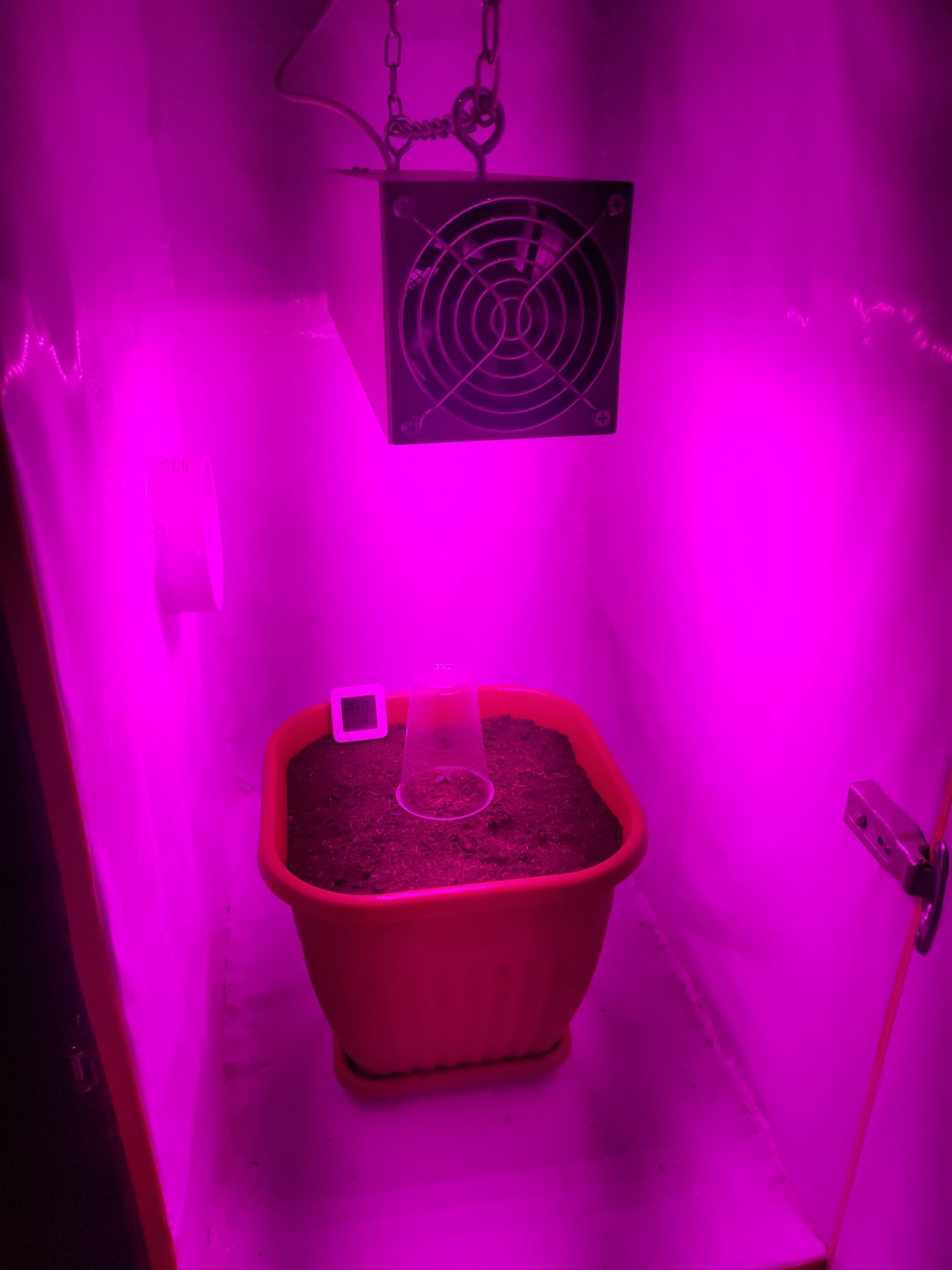 P20830-043620.jpg P20830-043620.jpg