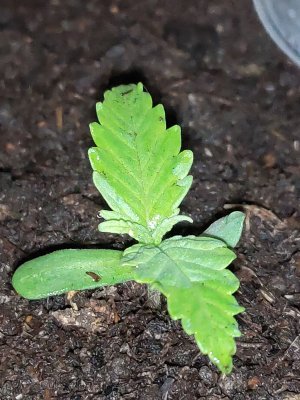 P20901-002805.jpg P20901-002805.jpg