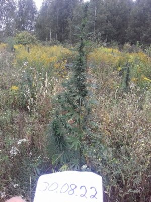 20150104_181940.jpg 20150104_181940.jpg