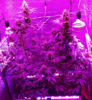 devotchka-auto-doctors-choise__7x5ENIm12uovtZgP.jpg devotchka-auto-doctors-choise__7x5ENIm12uovtZgP.jpg