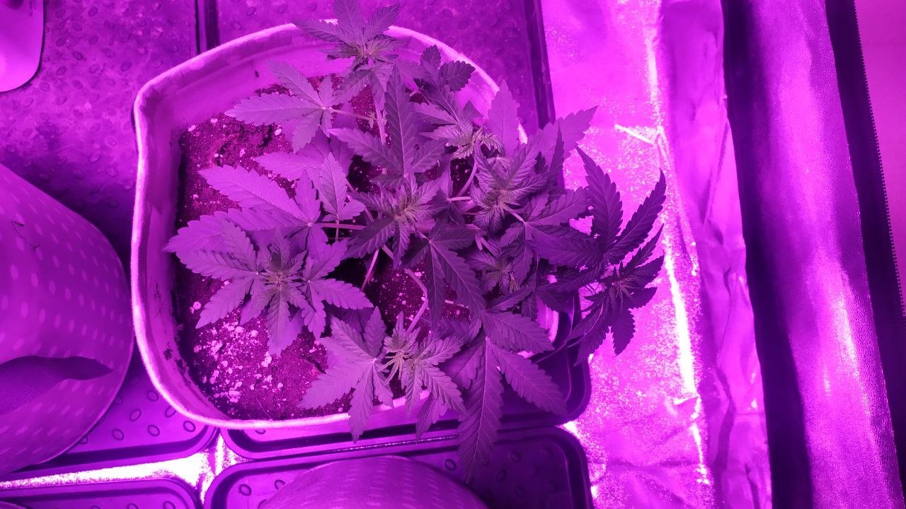 джони.jpg джони.jpg