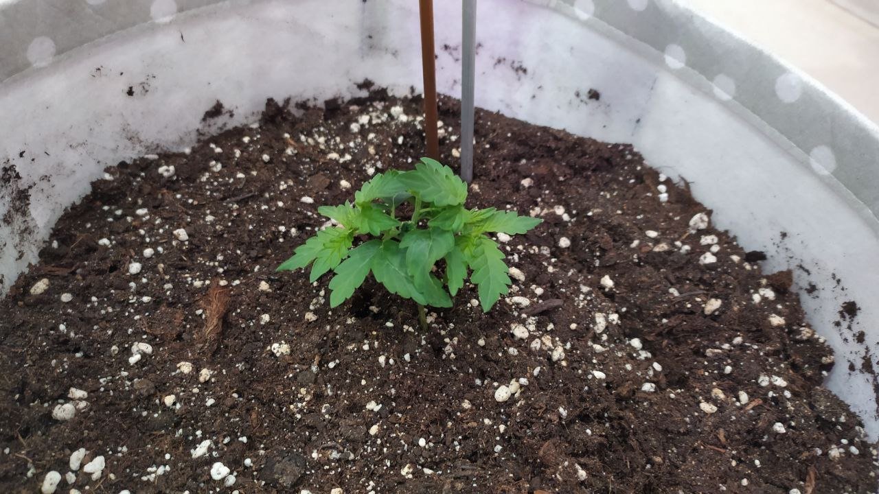 14 день 2.jpg 14 день 2.jpg