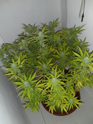 20220919_121401.jpg 20220919_121401.jpg