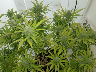 20220920_094007.jpg 20220920_094007.jpg