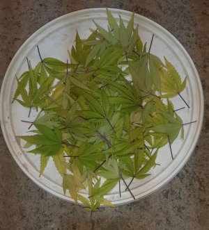 20220920_094034.jpg 20220920_094034.jpg