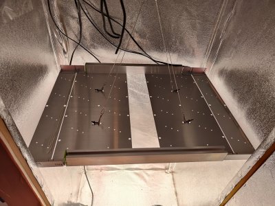 IMG20220919181229.jpg IMG20220919181229.jpg