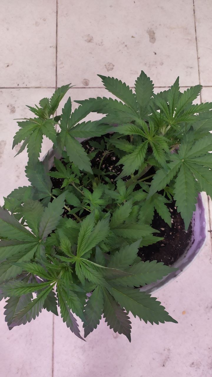 photo_2022-09-25_12-44-19.jpg photo_2022-09-25_12-44-19.jpg