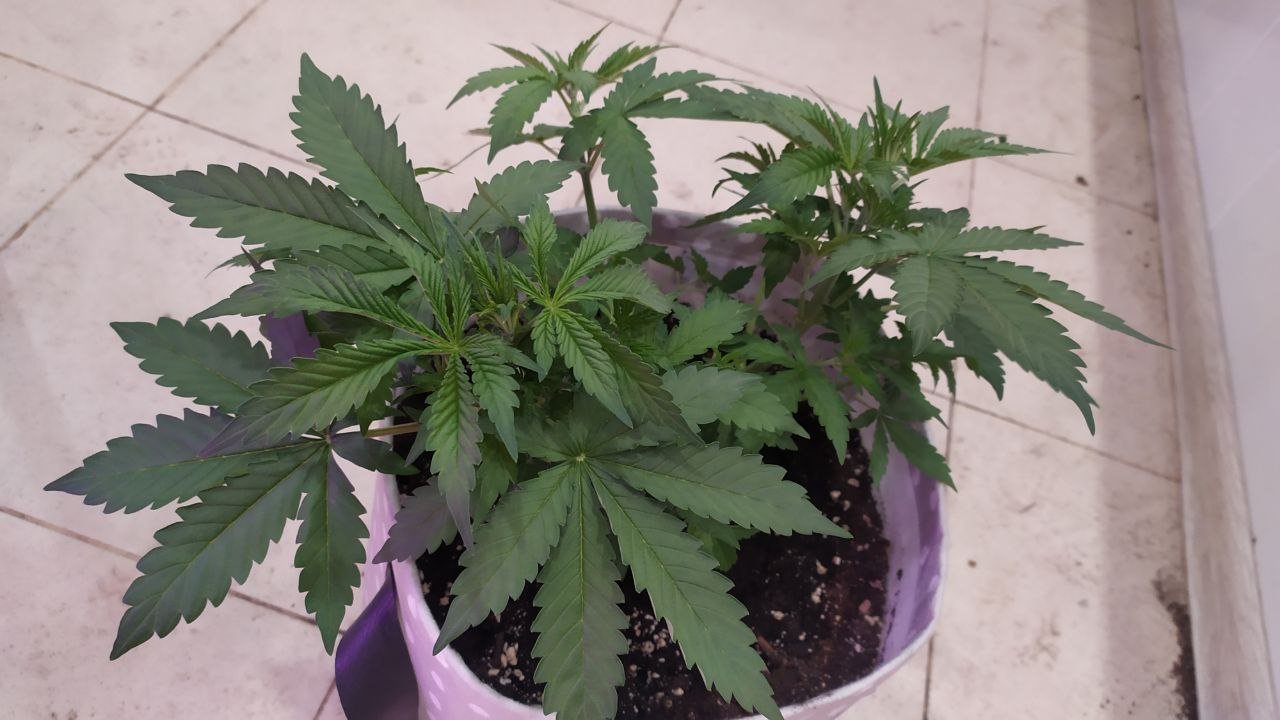 photo_2022-09-25_12-44-19 (2).jpg photo_2022-09-25_12-44-19 (2).jpg