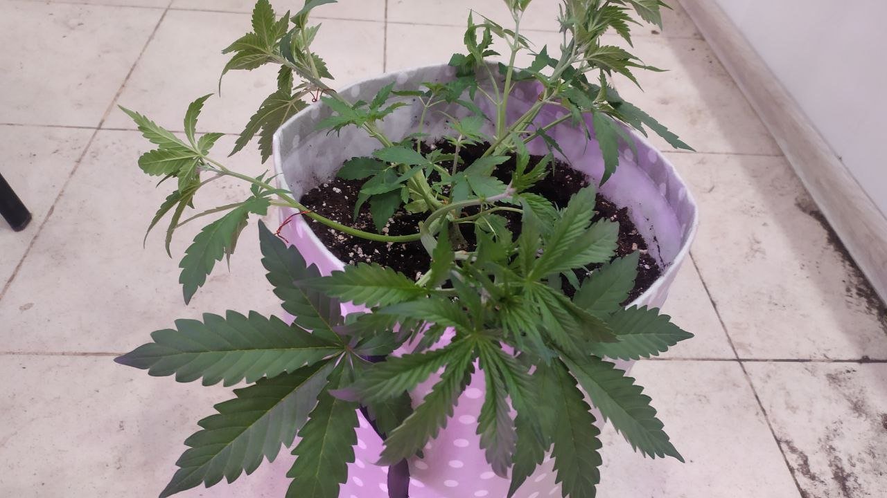 photo_2022-09-25_12-44-17.jpg photo_2022-09-25_12-44-17.jpg