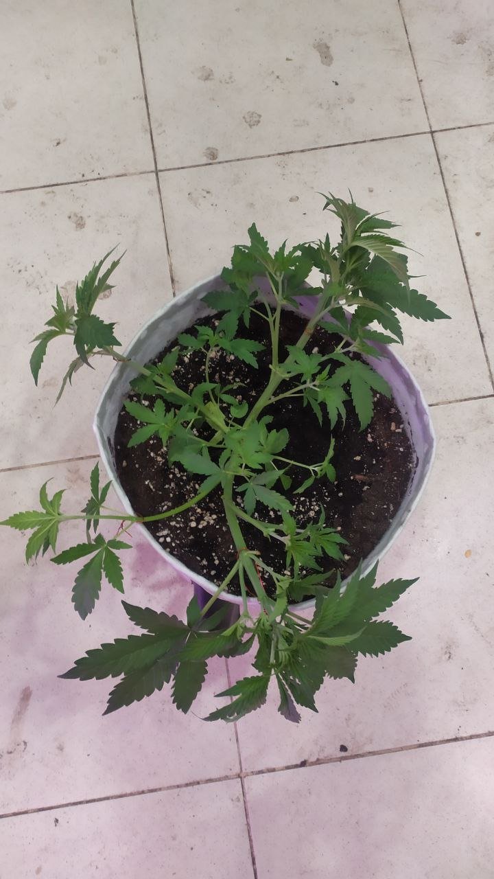 photo_2022-09-25_12-44-18.jpg photo_2022-09-25_12-44-18.jpg