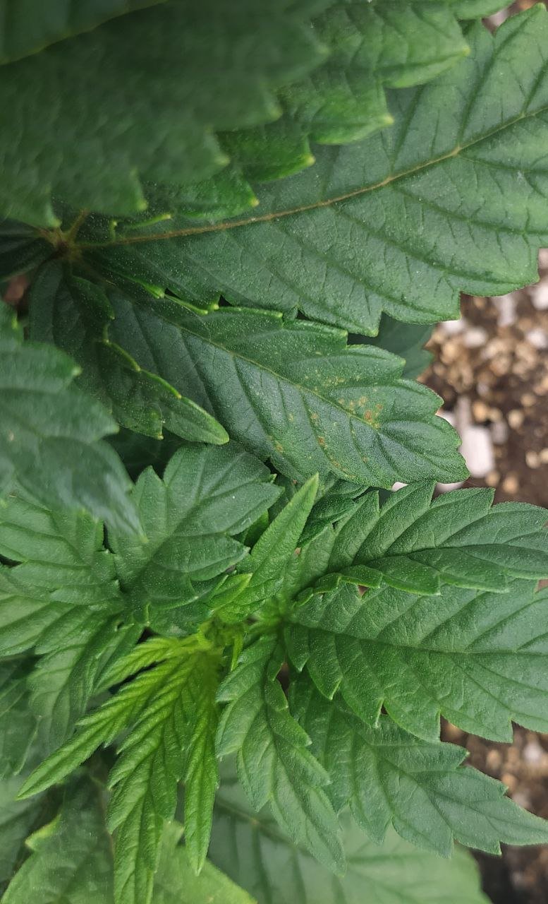 3 — копия.jpg