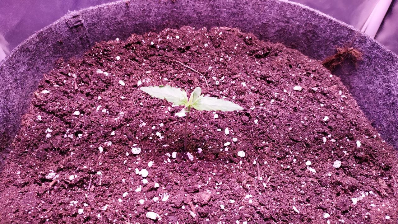 photo_2022-09-26_14-02-49.jpg photo_2022-09-26_14-02-49.jpg