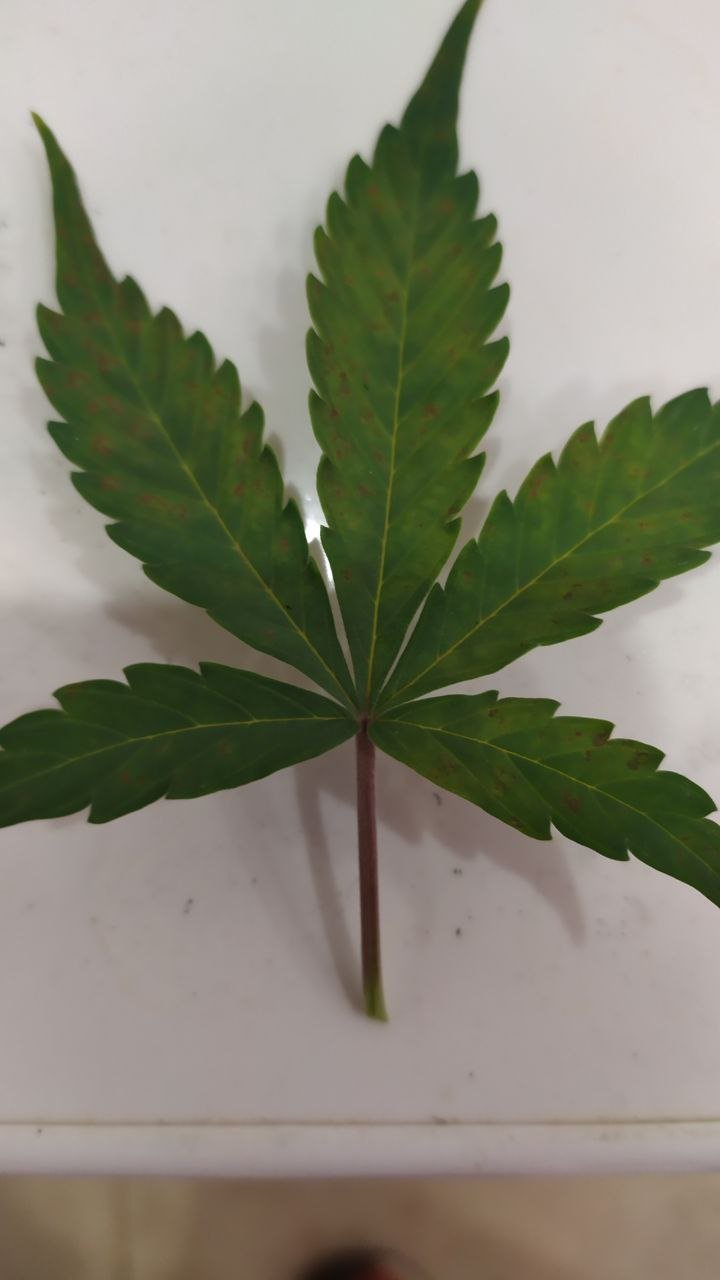 photo_2022-09-26_14-02-48.jpg photo_2022-09-26_14-02-48.jpg