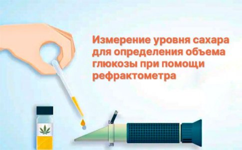 Мониторинг уровня сахара