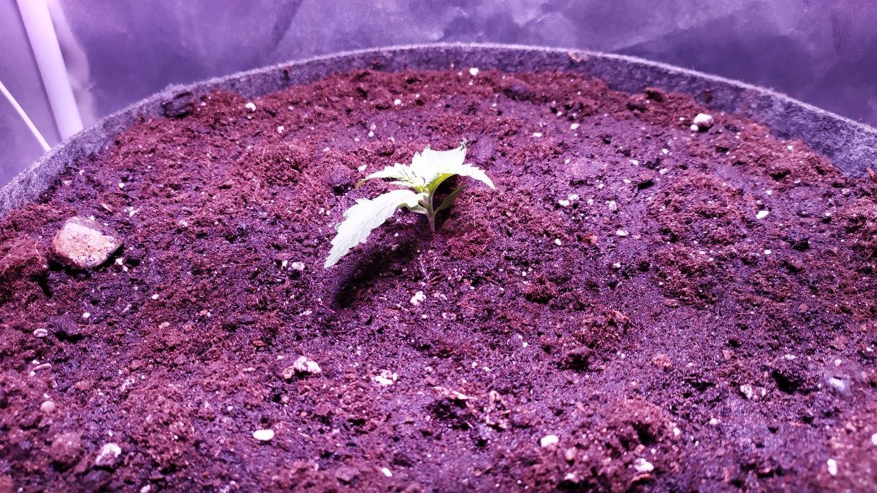 photo_2022-09-28_18-05-51.jpg photo_2022-09-28_18-05-51.jpg