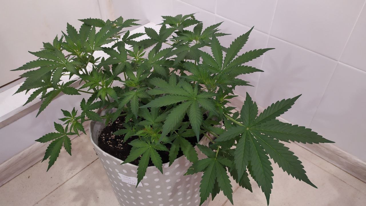 photo_2022-09-30_09-03-52 (2).jpg photo_2022-09-30_09-03-52 (2).jpg