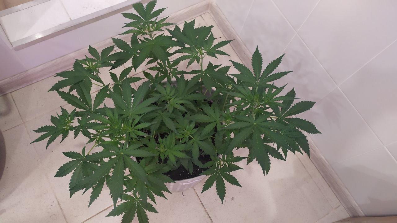 photo_2022-10-01_15-55-53 (2).jpg photo_2022-10-01_15-55-53 (2).jpg