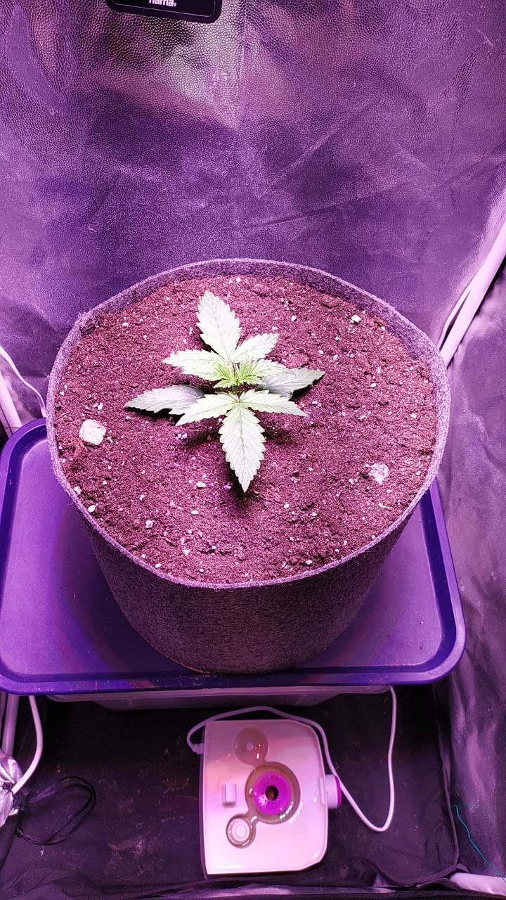 photo_2022-10-01_14-09-58.jpg photo_2022-10-01_14-09-58.jpg