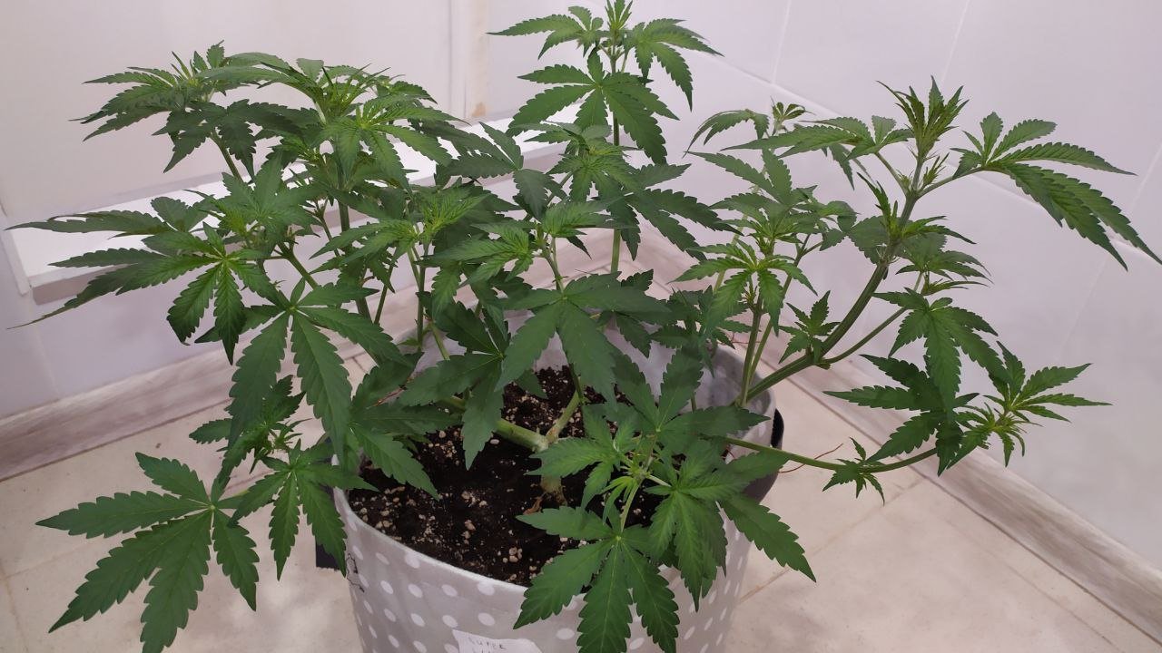 photo_2022-10-02_12-06-14.jpg photo_2022-10-02_12-06-14.jpg