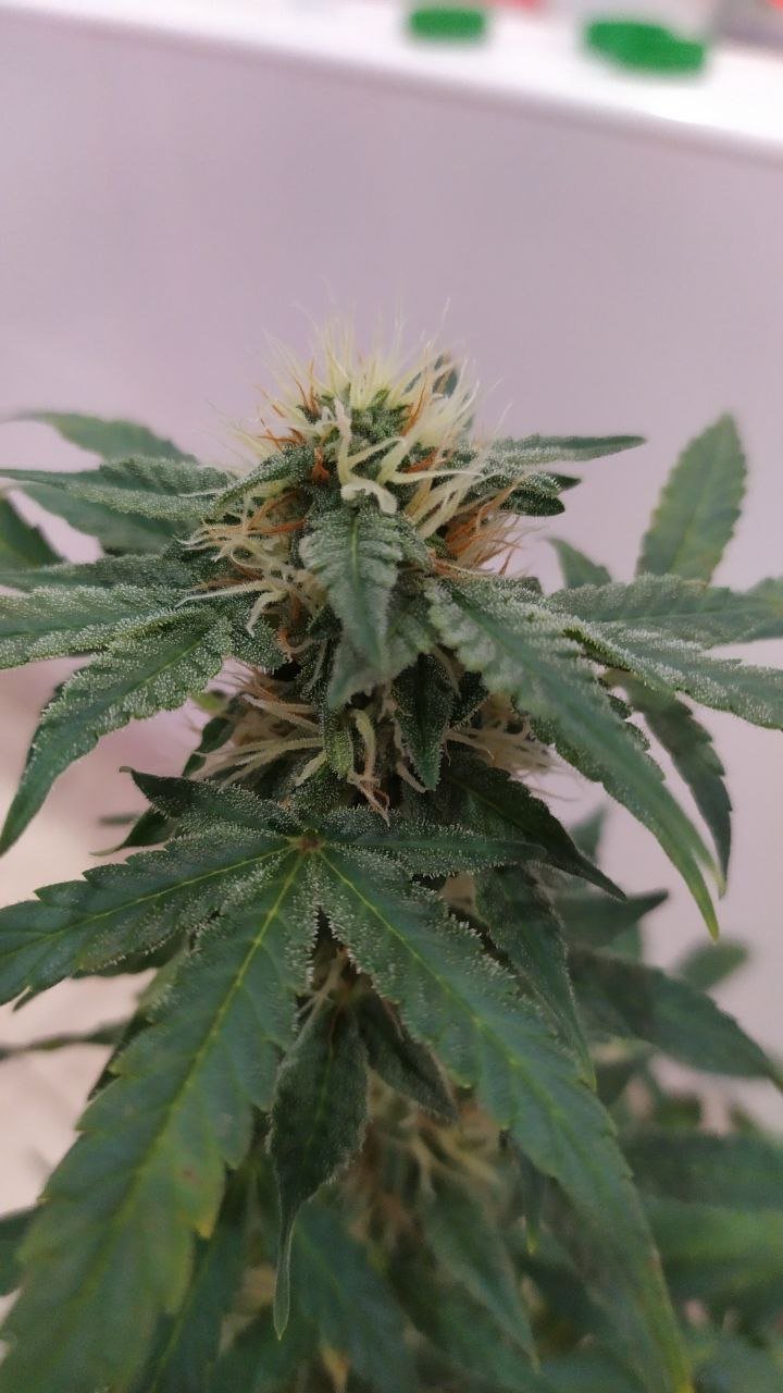 photo_2022-10-02_12-06-15.jpg photo_2022-10-02_12-06-15.jpg