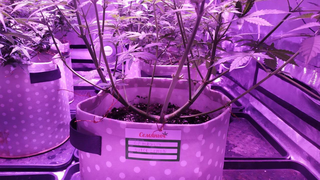 photo_2022-10-04_10-28-18.jpg photo_2022-10-04_10-28-18.jpg