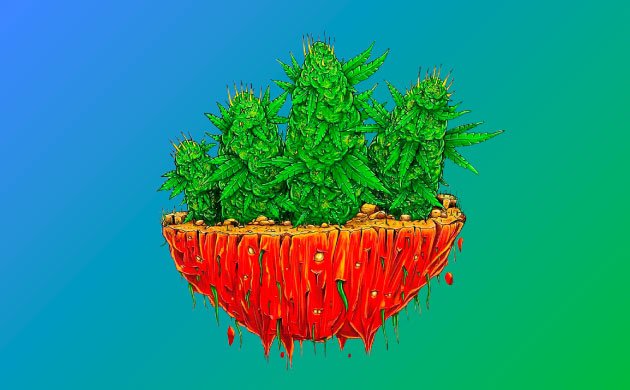 Органическая марихуана