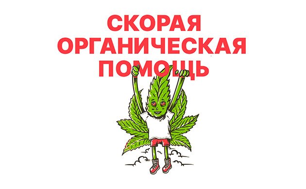 Органические питательные и лекарственные смеси для конопли Органические питательные и лекарственные смеси для конопли