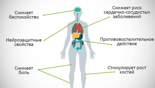 1616334323192.png 1616334323192.png