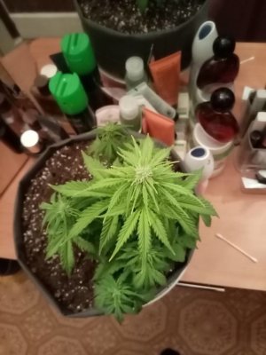 imgonline-com-ua-Resize-0bei9Rh4fdbn.jpg imgonline-com-ua-Resize-0bei9Rh4fdbn.jpg