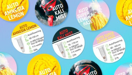 акция.jpg акция.jpg