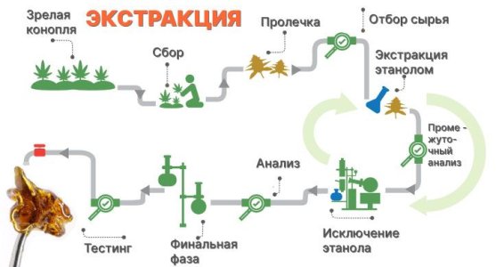 готовые продукты экстракции полного спектра конопли готовые продукты экстракции полного спектра конопли