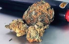 фото2.jpg фото2.jpg