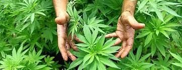 фото3.jpg фото3.jpg