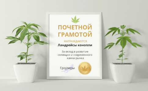 1624442258212.png 1624442258212.png