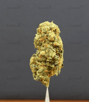 1624479352085.png 1624479352085.png