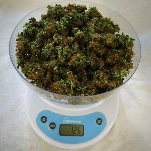 01010101011.jpg 01010101011.jpg