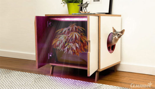 1625041328521.png 1625041328521.png