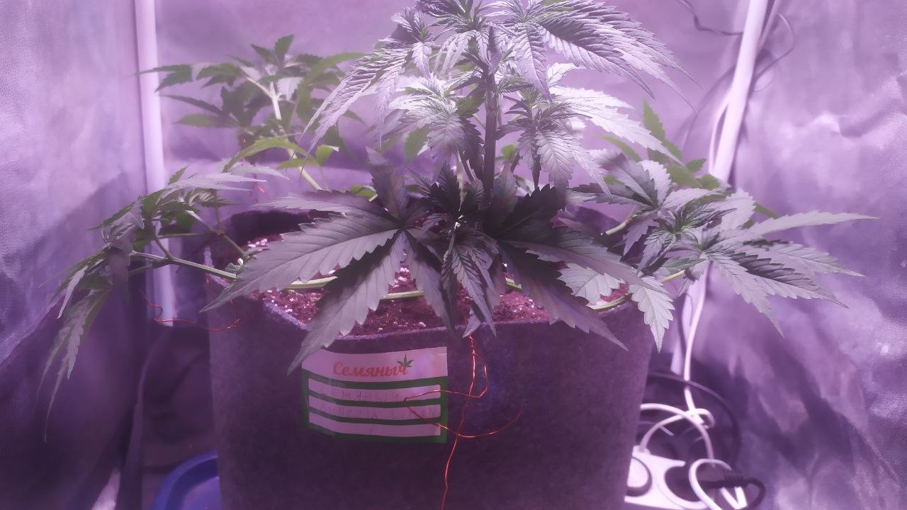 photo_2022-10-16_12-21-41.jpg photo_2022-10-16_12-21-41.jpg