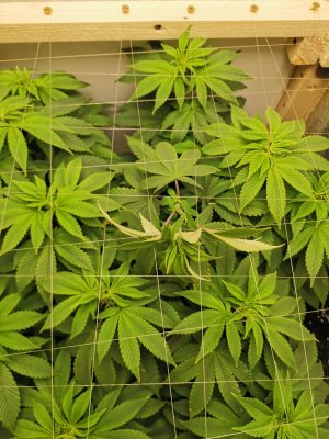 IMG_20221021_161134.jpg IMG_20221021_161134.jpg