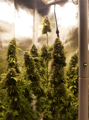 1667095958800.png 1667095958800.png