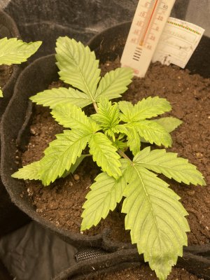 IMG_0465.JPG IMG_0465.JPG